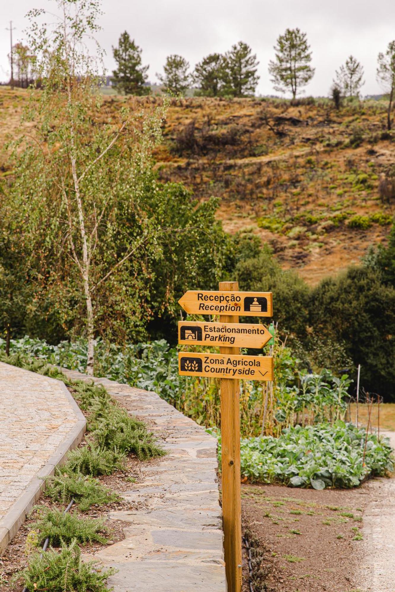 Terrasense Mountain Charm Retreat & Farm Apartment Videmonte Ngoại thất bức ảnh