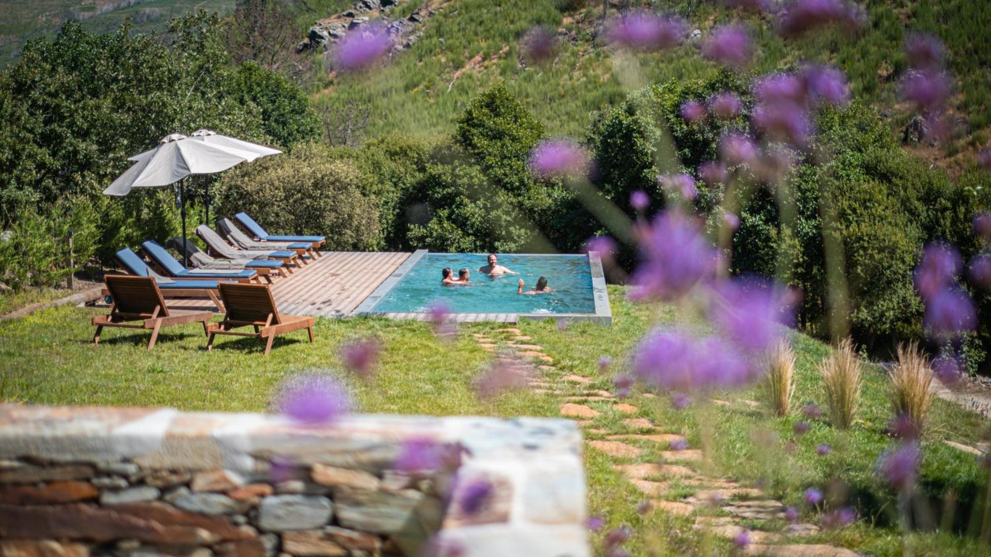 Terrasense Mountain Charm Retreat & Farm Apartment Videmonte Ngoại thất bức ảnh